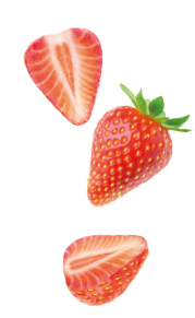 erdbeeren